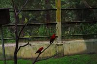 0500 Südostasien Auswahl 2017