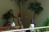 0501 Südostasien Auswahl 2017