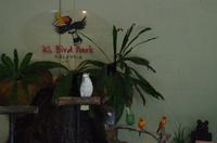 0502 Südostasien Auswahl 2017