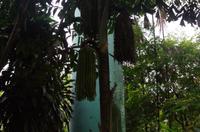 0504 Südostasien Auswahl 2017