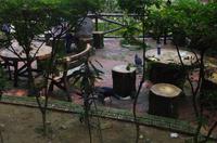 0505 Südostasien Auswahl 2017