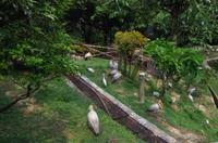 0506 Südostasien Auswahl 2017