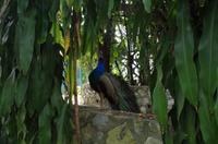 0507 Südostasien Auswahl 2017