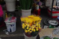 0554 Südostasien Auswahl 2017