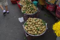 0555 Südostasien Auswahl 2017