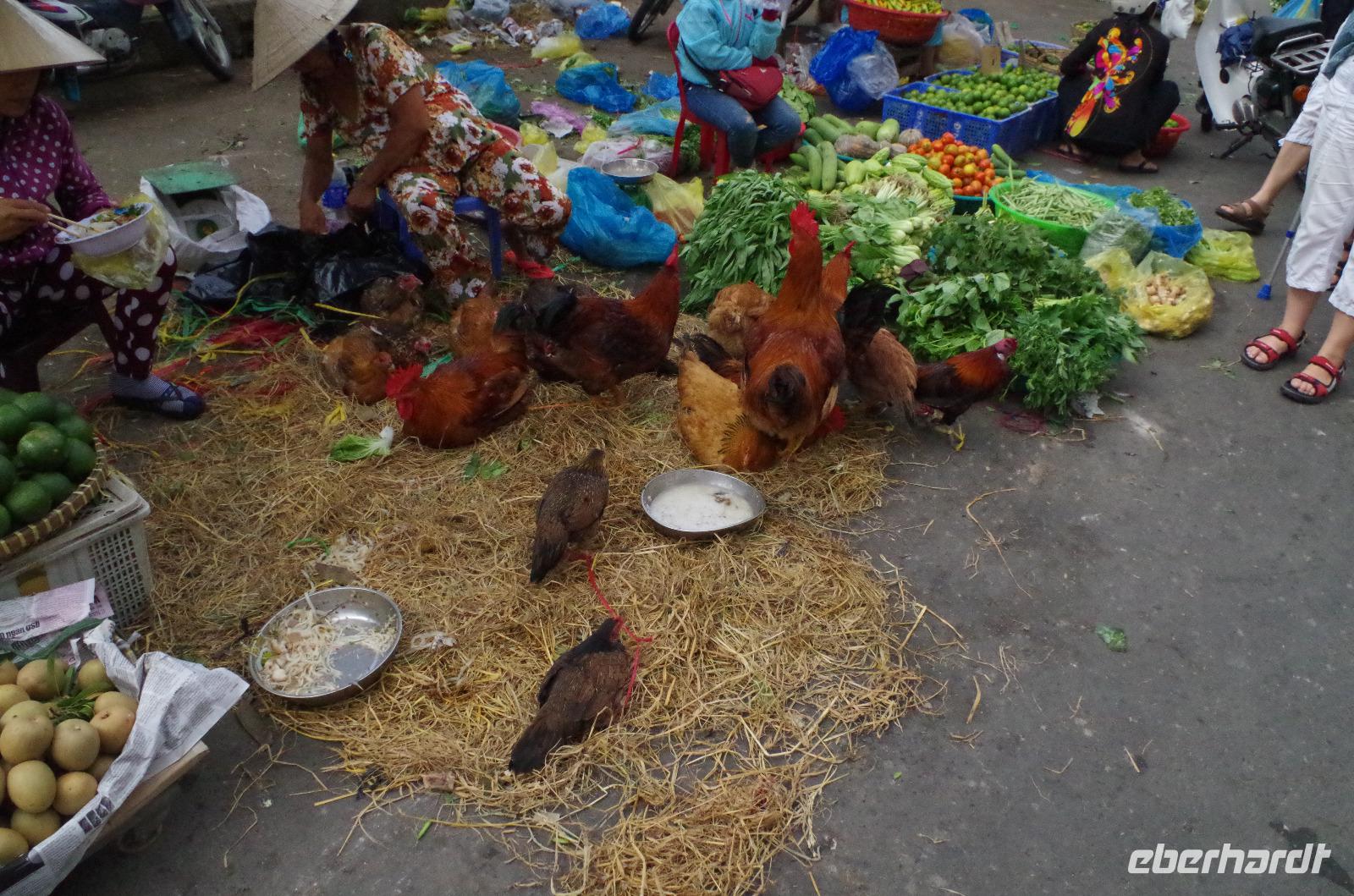0569 Südostasien Auswahl 2017