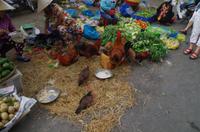 0569 Südostasien Auswahl 2017