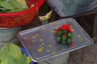 0581 Südostasien Auswahl 2017