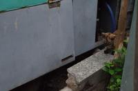 0585 Südostasien Auswahl 2017