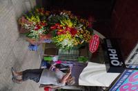 0596 Südostasien Auswahl 2017