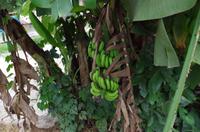 0722 Südostasien Auswahl 2017