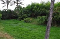 0723 Südostasien Auswahl 2017