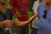 0724 Südostasien Auswahl 2017