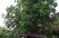 0728 Südostasien Auswahl 2017