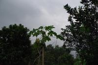 0733 Südostasien Auswahl 2017