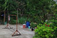 0737 Südostasien Auswahl 2017