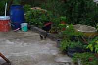 0740 Südostasien Auswahl 2017