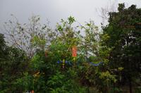 0742 Südostasien Auswahl 2017