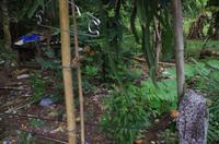 0743 Südostasien Auswahl 2017