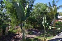 0764 Südostasien Auswahl 2017