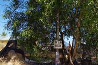 0779 Südostasien Auswahl 2017