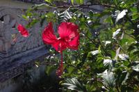 0790 Südostasien Auswahl 2017