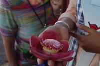 0798 Südostasien Auswahl 2017