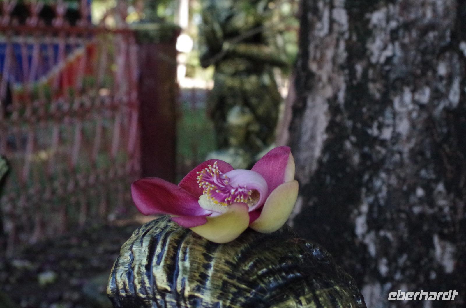 0801 Südostasien Auswahl 2017