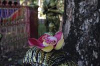 0801 Südostasien Auswahl 2017