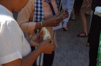 0816 Südostasien Auswahl 2017