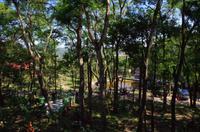 0818 Südostasien Auswahl 2017