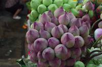 0827 Südostasien Auswahl 2017