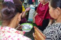 0832 Südostasien Auswahl 2017