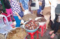 0835 Südostasien Auswahl 2017