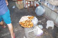 0845 Südostasien Auswahl 2017