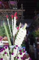 0849 Südostasien Auswahl 2017