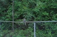 0898 Südostasien Auswahl 2017