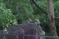 0901 Südostasien Auswahl 2017