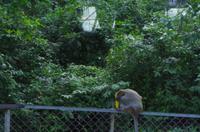 0902 Südostasien Auswahl 2017