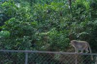 0903 Südostasien Auswahl 2017