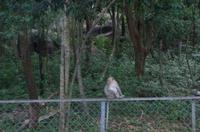 0904 Südostasien Auswahl 2017