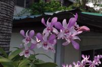 0957 Südostasien Auswahl 2017