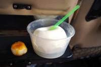 Das Innenleben einer Kokosnuss