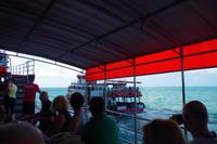 010218 Ko Samui Tender