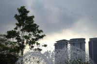 Kuala Lumpur Bird & Orchideen Park