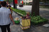 Vietnam - Ausflug nach Saigon