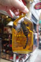 Vietnam - Ausflug nach Saigon