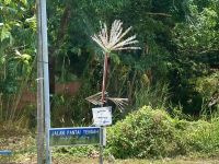 Hier gehts zur Hochzeit