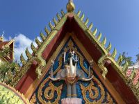 Schlangen und Elefanten