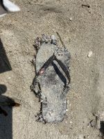 FlipFlop mit Muscheln verziert